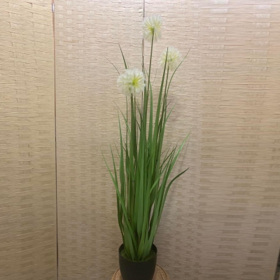 ΤΕΧΝΗΤΟ ΦΥΤΟ DANDELION GRASS ΣΕ ΚΑΣΠΩ 120CM WHITE HEADS