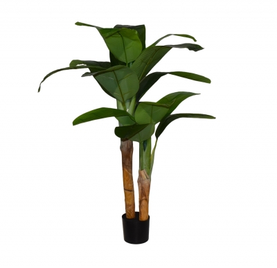 BANANA TREE ΣΕ ΚΑΣΠΩ 2 POLES 160CM 15L GREEN