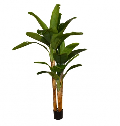 BANANA TREE ΣΕ ΚΑΣΠΩ 3 POLES 200CM 20L GREEN