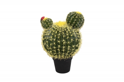 ΤΕΧΜΗΤΟ ΦΥΤΟ ΣΕ ΚΑΣΠΩ ΕΧΙΝΟΚΑΚΤΟΣ 55CM GREEN