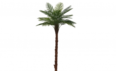 ΤΕΧΝΗΤΟ ΦΥΤΟ PALM TREE 1 ΚΟΡΜΟΣ 300CM 26 ΦΥΛΛΑ  GREEN