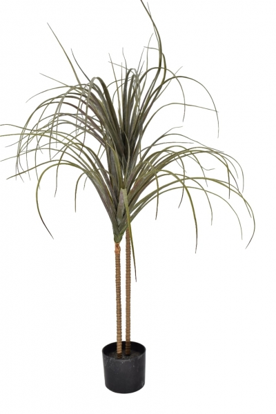 ΤΕΧΜΗΤΟ ΦΥΤΟ ΣΕ ΚΑΣΠΩ DRACENA ΛΕΠΤΟ ΦΥΛΛΟ 120CM GREEN