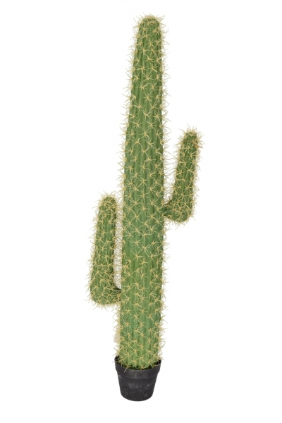 ΤΕΧΜΗΤΟ ΦΥΤΟ ΣΕ ΚΑΣΠΩ ΚΑΚΤΟΣ ΣΑΓΚΟΥΑΡΟ 130CM GREEN