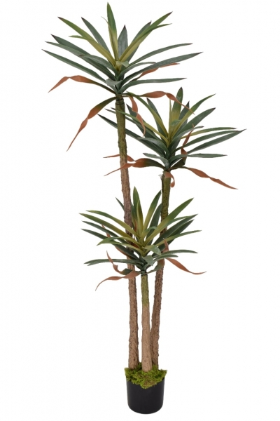 ΤΕΧΜΗΤΟ ΦΥΤΟ ΣΕ ΚΑΣΠΩ DRACENA ΠΛΑΤΥ ΦΥΛΛΟ 180CM GRAY