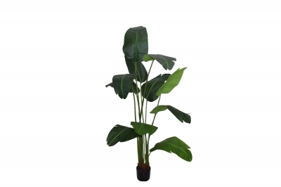 ΤΕΧΝΗΤΟ ΦΥΤΟ ΣΕ ΚΑΣΠΩ BANANA TRAVELLER 200CM 11 ΦΥΛΛΑ GREEN