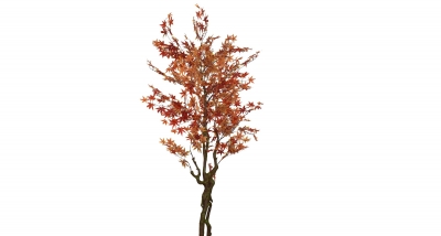 ΤΕΧΝΗΤΟ ΔΕΝΤΡΟ MAPLE LEAF 210CM AUTUMN RED