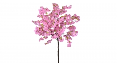������� ������ RICH CHERRY BLOSSOM 230CM FUSCHIA