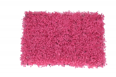 ΚΑΘΕΤΟΣ ΚΗΠΟΣ(GREEN WALL) 40*60cm COLOR MILAN PINK