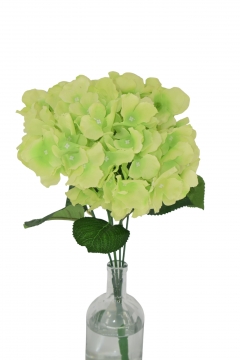 ������� ����� ��������(5 HEADS) 50CM GREEN