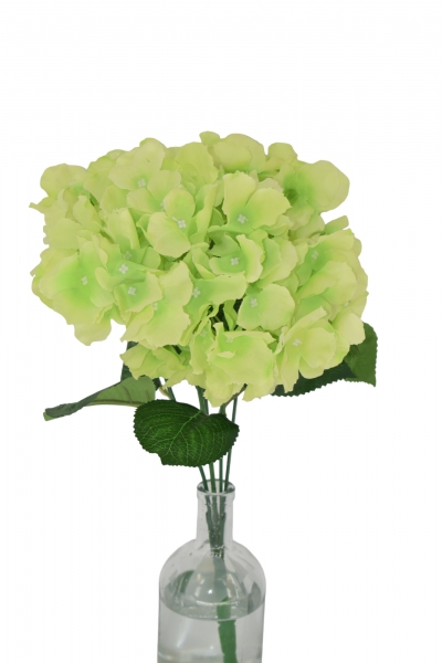 ΤΕΧΝΗΤΟ ΑΝΘΟΣ ΟΡΤΑΝΣΙΑ(5 HEADS) 50CM GREEN