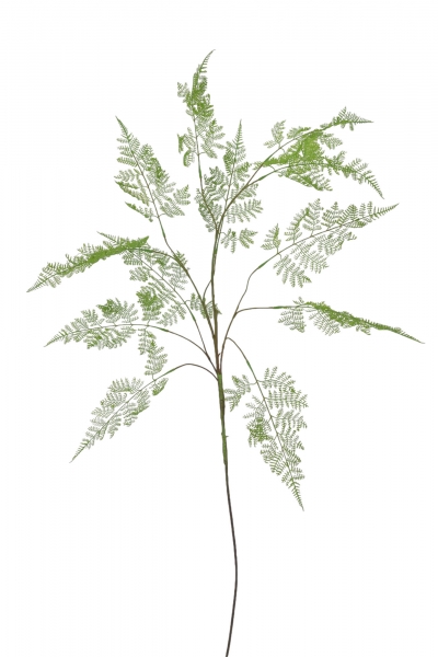 ΤΕΧΝΗΤΟ BUSH fern leaf 153cm GREEN