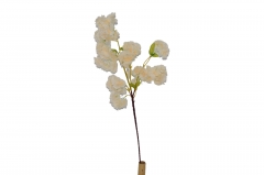 ������� ����� ��������� ������� 110CM PEACH