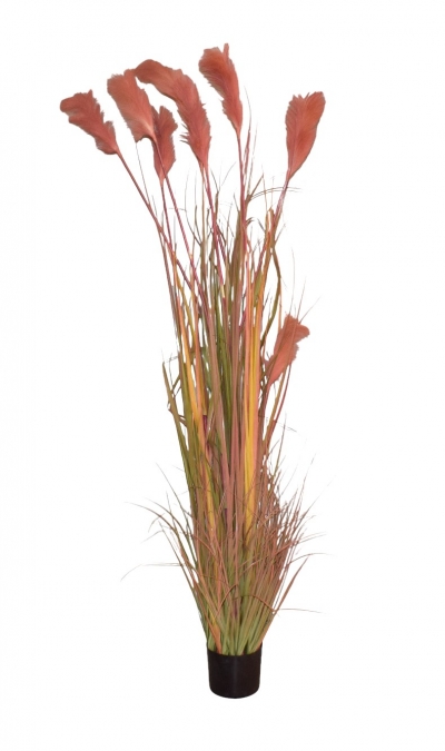 ΤΕΧΝΗΤΟ ΦΥΤΟ AUTUMN REED(7 ΚΛΑΔΙΑ)ΣΕ ΓΛΑΣΤΡΑ 180CM PINK