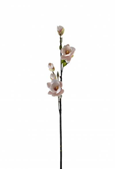 ΤΕΧΝΗΤΟ ΚΛΑΔΙ MAGNOLIA x 5 H.83CM CREAM