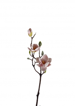 ������� ����� MAGNOLIA x 3 H.55CM PINK