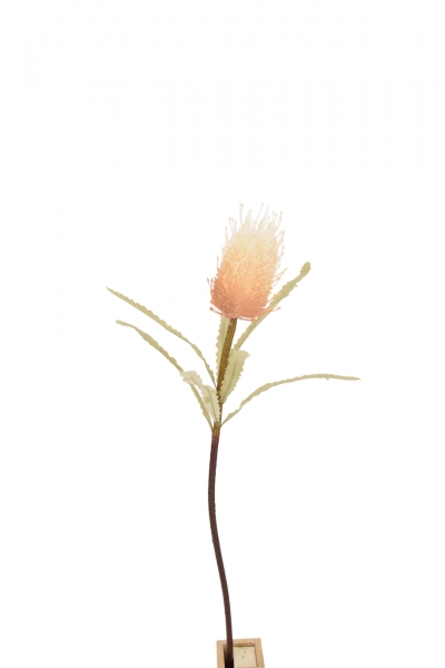 ΤΕΧΝΗΤΟ ΑΝΘΟΣ SOL H.70CM, HEAD:14*7CM AUTUMN WHITE