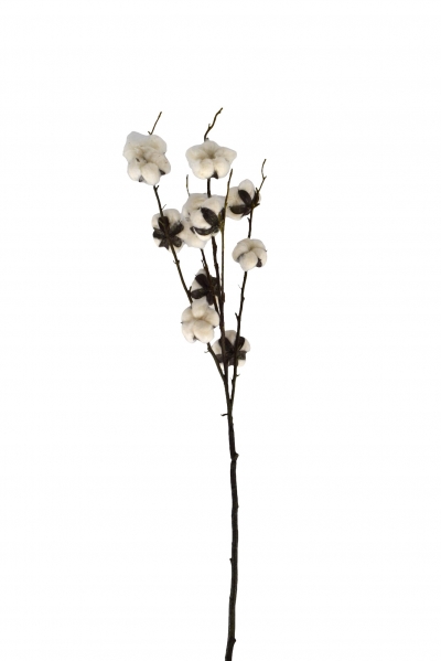 ΤΕΧΝΗΤΟ ΚΛΑΔΙ ΒΑΜΒΑΚΙ x 6 H.82CM ΦΥΣΙΚΟ