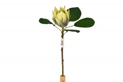 ΤΕΧΝΗΤΟ ΑΝΘΟΣ LITLLE EMPEROR H.55 D.11CM GREEN