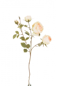 ������� ����� AUTUMN ROSEx5 HEADS 65CM ORANGE POWDER