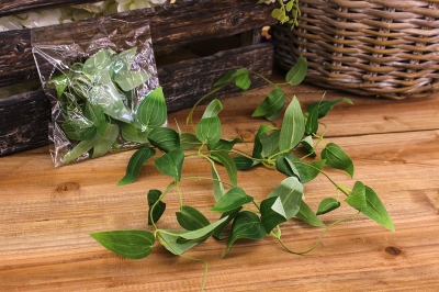 ΛΟΥΛΟΥΔΙ ΤΕΧΝ.ΑΓΙΟΚΛΗΜΑ ΚΡΕΜΑΣΤΟ 120CM