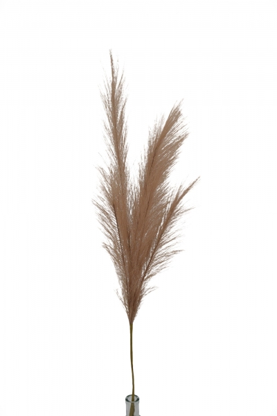 ΤΕΧΝΗΤΟ PAMPAS ΥΦΑΣΜΑΤΙΝΟ 80CM BEIGE