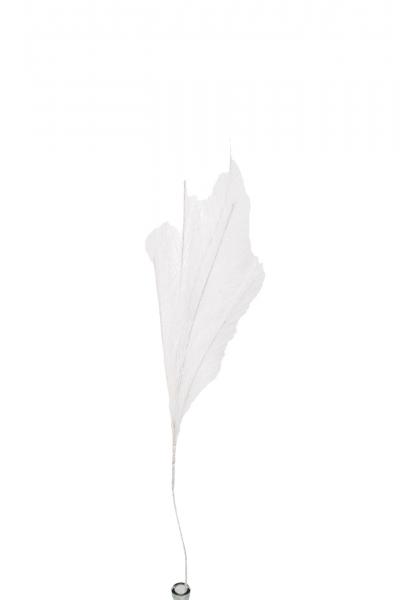 ΤΕΧΝΗΤΟ PAMPAS ΥΦΑΣΜΑΤΙΝΟ 80CM WHITE