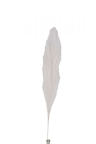 ΤΕΧΝΗΤΟ PAMPAS ΥΦΑΣΜΑΤΙΝΟ 100CM WHITE