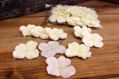 ΛΟΥΛΟΥΔΙ ΤΕΧΝ.ΠΕΤΑΛΑ ΟΡΤΑΝΣΙΑΣ ΛΕΥΚΑ 180ΤΜΧ