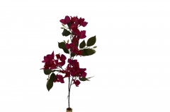 ������� ����� BOUGAINVILLEA 78cm/42 ����������� FUSCHIA