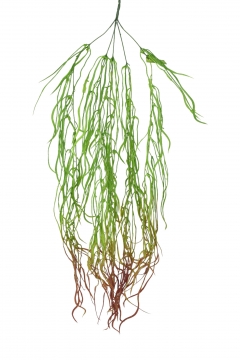 ������� ����� SEA GRASS �������� 105CM AUTUMN GREEN