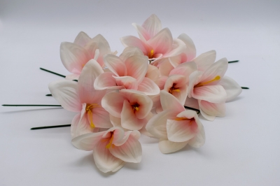 ΠΑΚΕΤΟ S/12 ΑΜΑΡΥΛΛΙΣ PICK 10cm BLUSH PINK