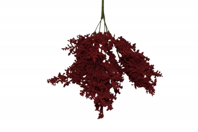 TEXNHTO BUNCH ASTILBE 39CM BEAUTY