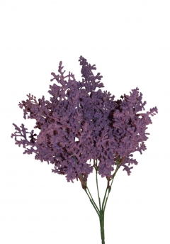 TEXNHTO BUNCH ASTILBE 39CM PURPLE