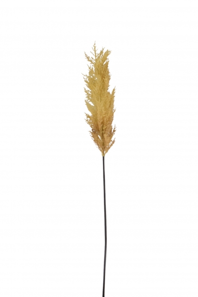 ΤΕΧΝΗΤΟ ΚΛΑΔΙ PAMPAS GRASS 105CM CREAM