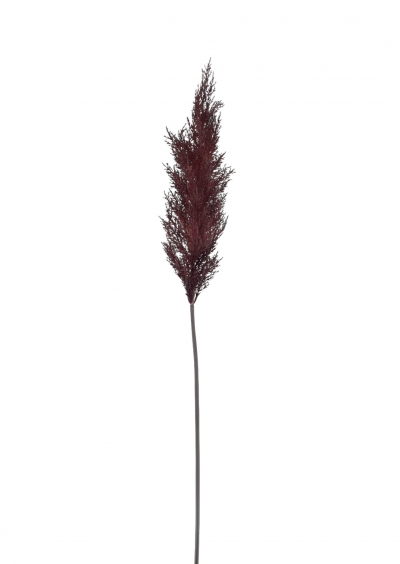 ΤΕΧΝΗΤΟ ΚΛΑΔΙ PAMPAS GRASS 105CM PURPLE