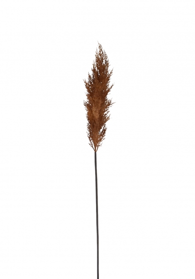 ΤΕΧΝΗΤΟ ΚΛΑΔΙ PAMPAS GRASS 105CM NATURAL
