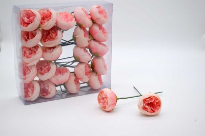 ΠΑΚΕΤΟ S/24 ΠΑΙΩΝΙΑ PICK 5CM PEACH