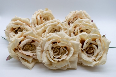 ΠΑΚΕΤΟ S/8 ΤΡΙΑΝΤΑΦΥΛΛΟ PICK 13CM BEIGE