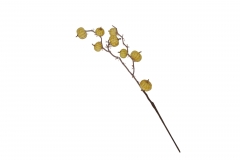 ��.����� pumpkin on stem 61cm cream