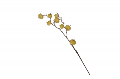 χρ.κλαδι pumpkin on stem 61cm cream