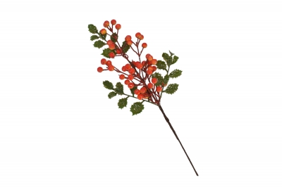χρ.κλαδι wild mistletoe on stem 71cm red