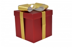 ���� ���������� 20*20*20cm red box/gold bow