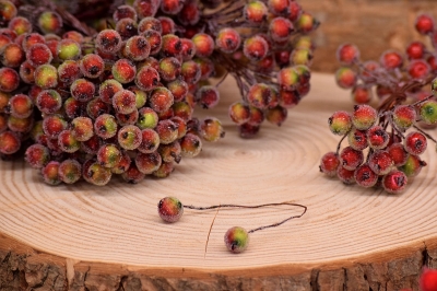 πακετο παγωμενα γκι πρασινο-κοκκινα 15cm 400τμχ