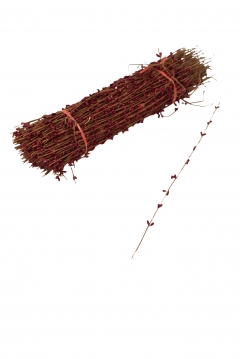 ������ �� �������� ��� ������� 200��� 37cm