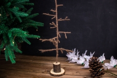 �������� �������