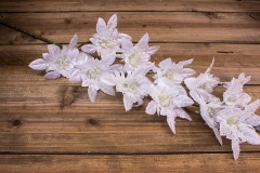 ��.����� ����������� ����� 116cm