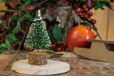 χρ.δεντρακι μινιατουρα χιονισμενο πρασινο 10cm