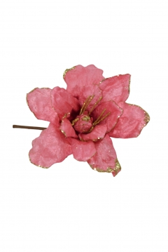 giant mangolia d.31*h.20cm tropical pink