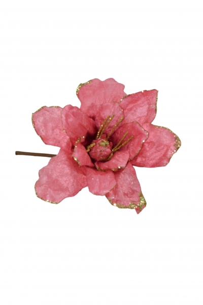 giant mangolia d.31*h.20cm tropical pink