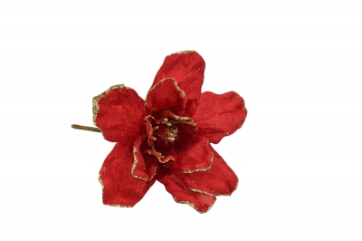 giant mangolia d.31*h.20cm tropical red